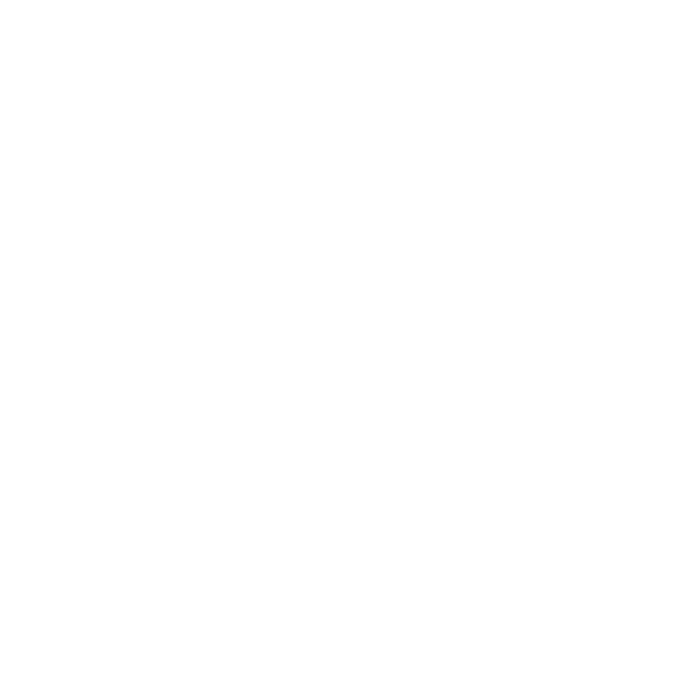 Whatsapp Icon